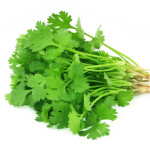 Coriander - 1 Bunt