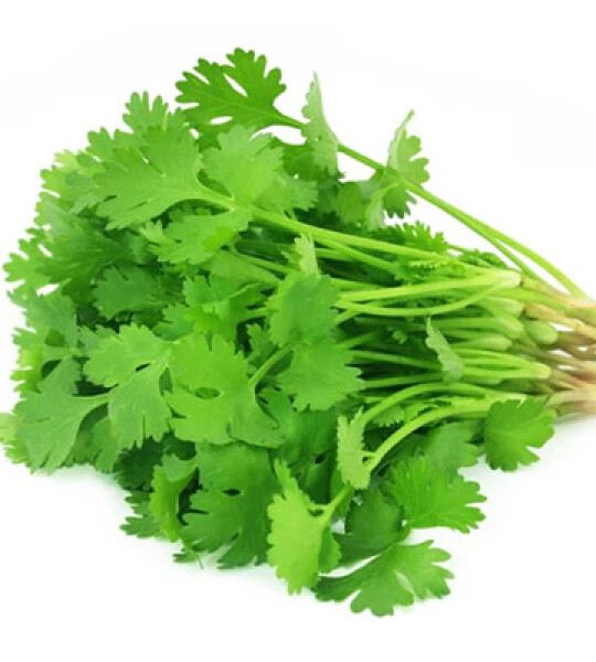 Coriander - 1 Bunt