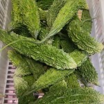 Karela - 500g