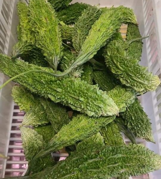 Karela - 500g