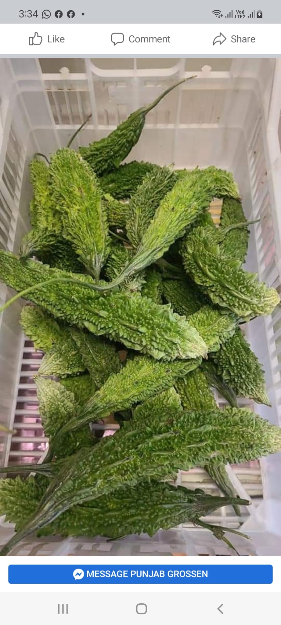 Karela - 500g