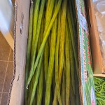 Fresh Drum Sticks -1kg