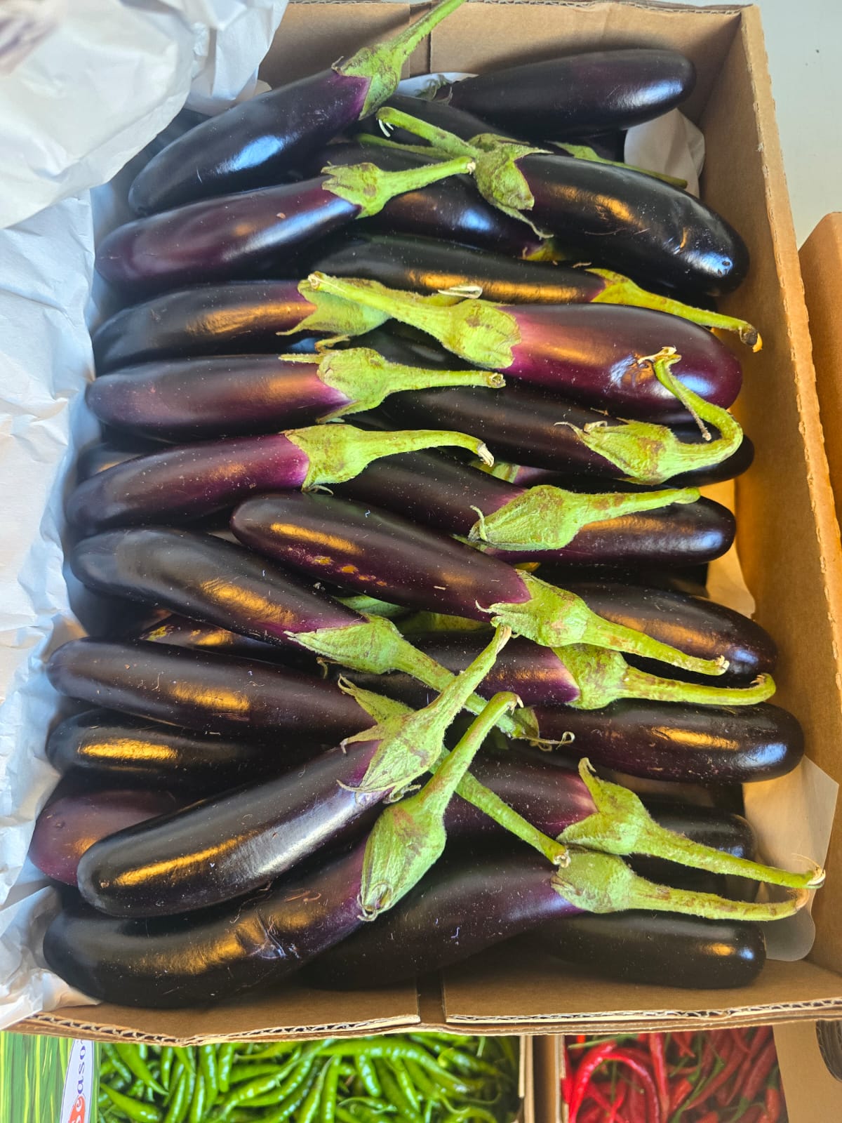 Long Ravaya -1kg