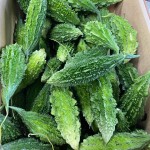 Karela -1kg