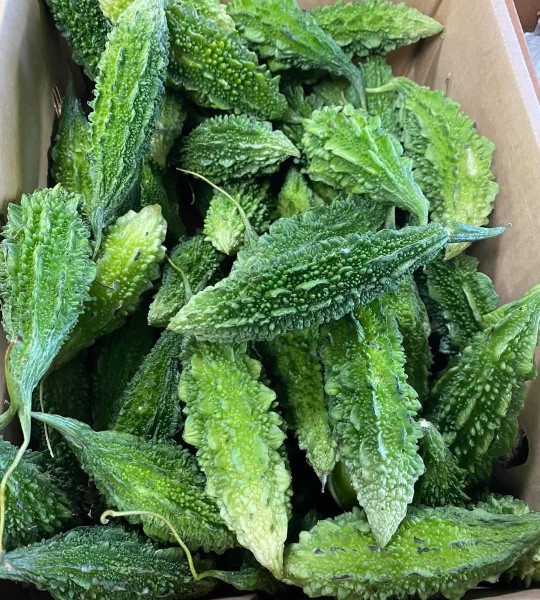 Karela -1kg