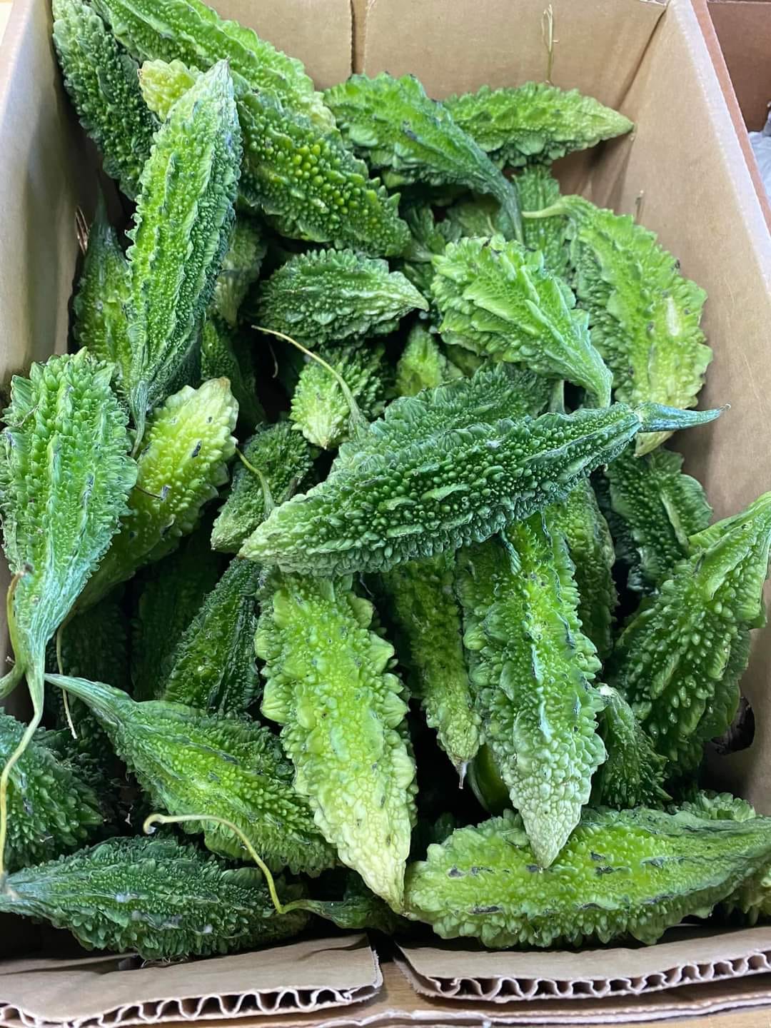 Karela -1kg