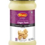 Shan Ginger Paste - 700g