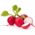 Red Radish - 1Bunt