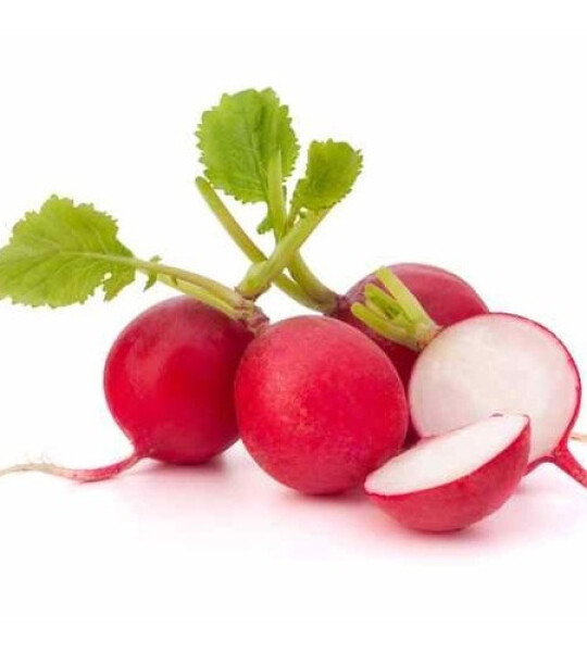 Red Radish - 1Bunt